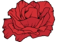 tropicana rose.gif
